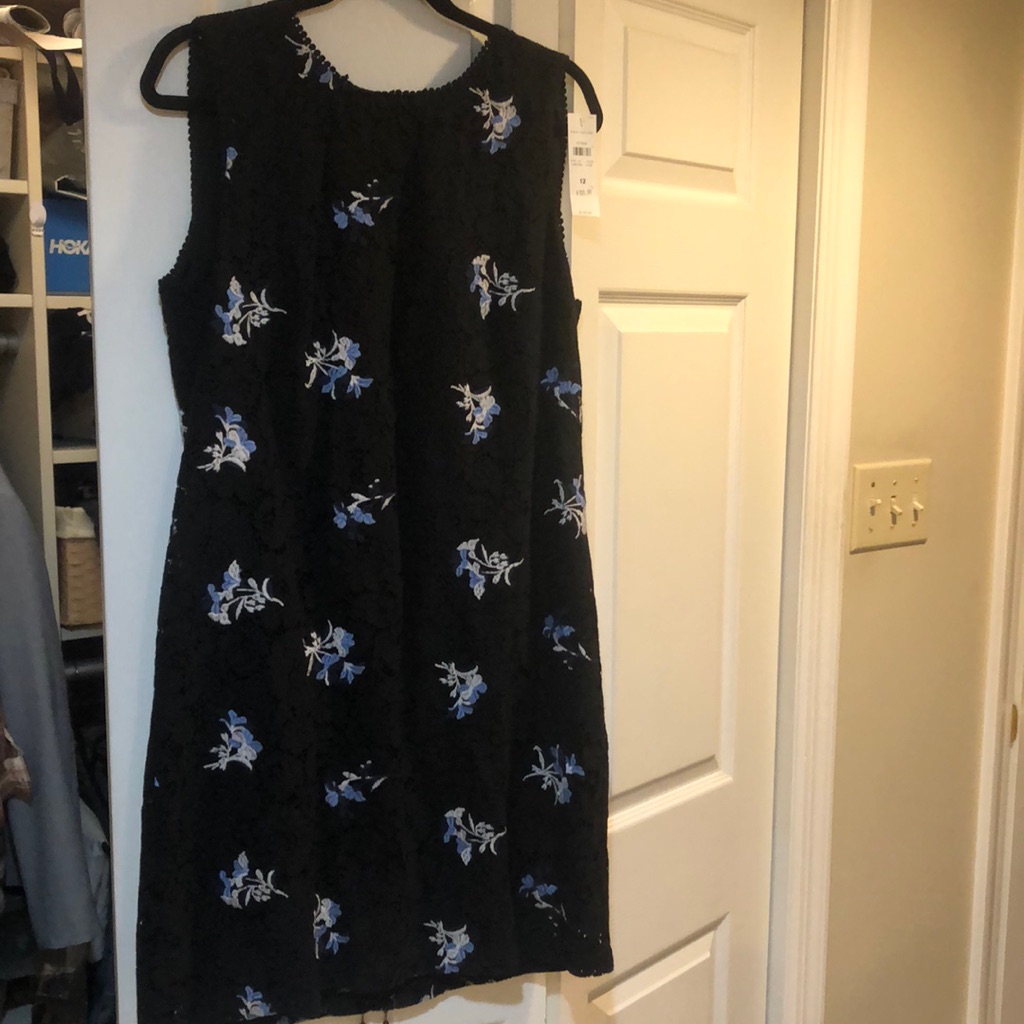 Ann Taylor Navy Lace Dress